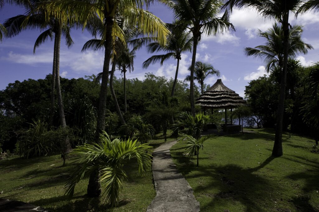 Private Island St. Vincent _cleaned_(3)