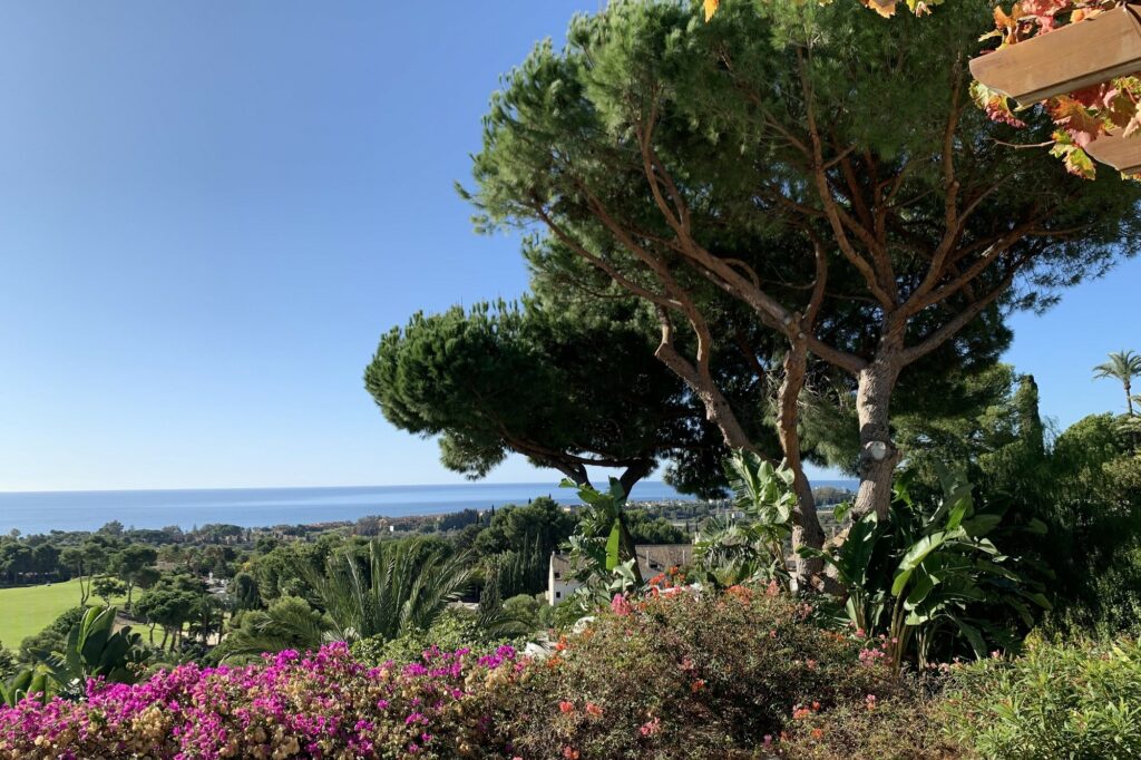 Event Villa Marbella_8_cleaned