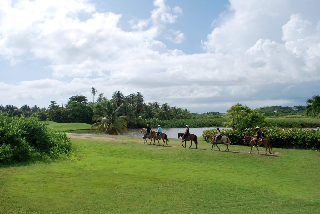 Event_Conference Resort_Puerto Rico_9_cleaned