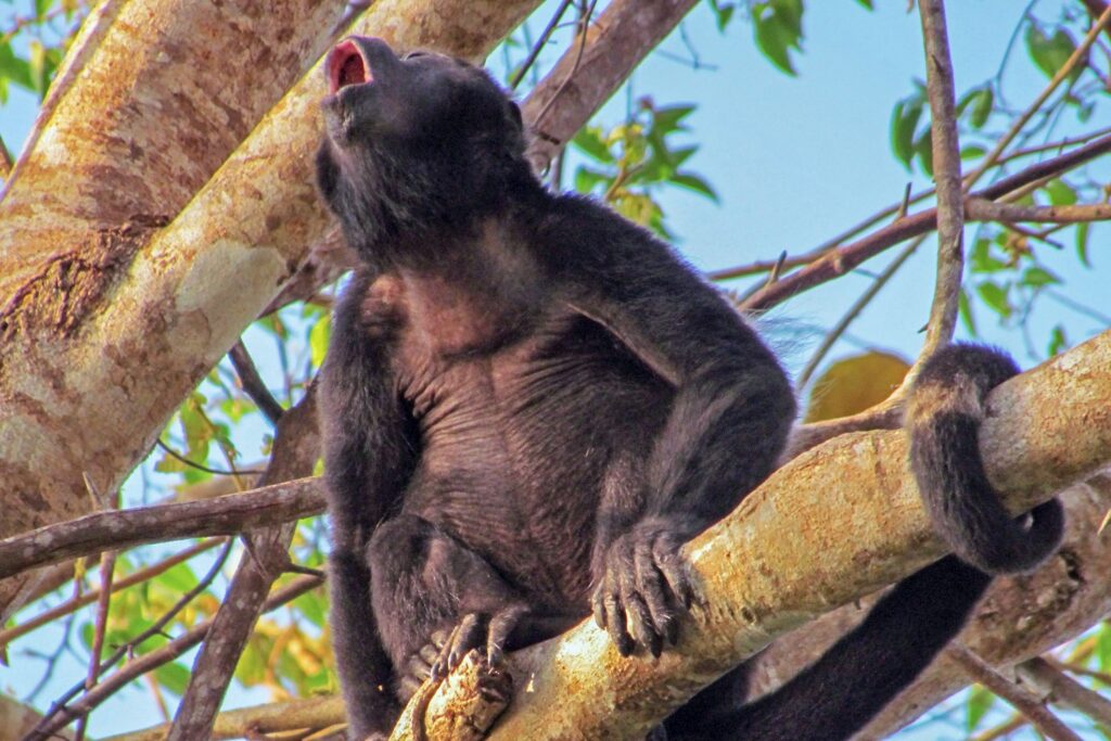 Private Island Panama_ (3)_cleaned