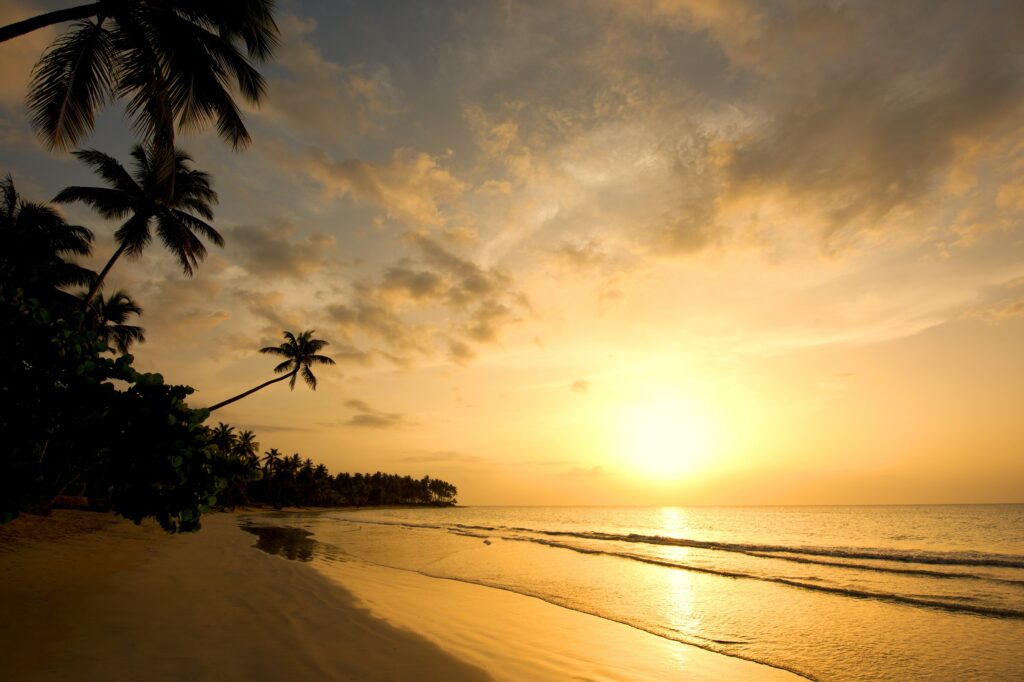 Sublime Samana_6_cleaned