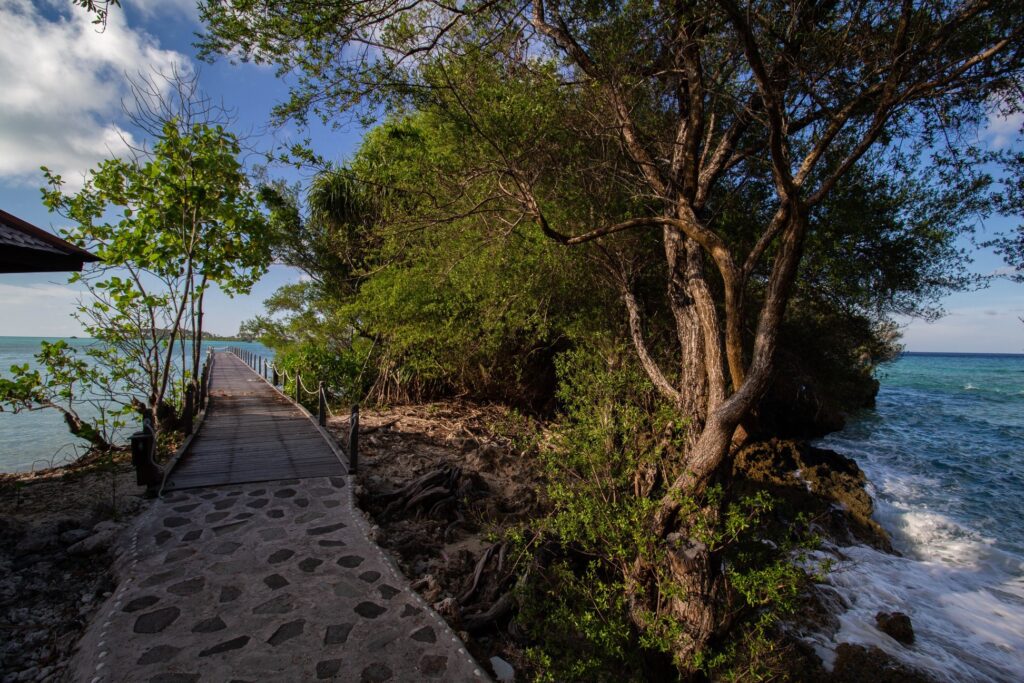 Private Island East Kalimantan_cleaned (7)