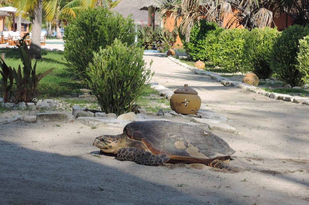 Private Island Madagascar_10 (7)_cleaned