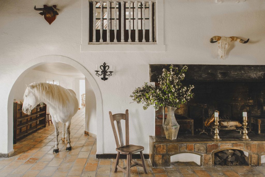 Event Retreat Camargue_10_cleaned