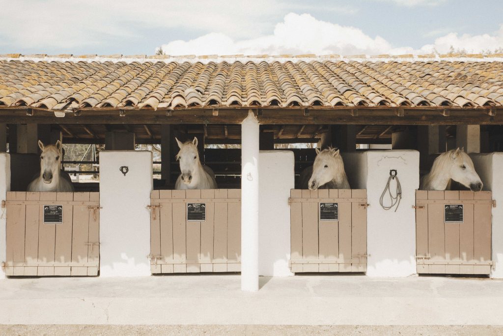 Event Retreat Camargue_14_cleaned