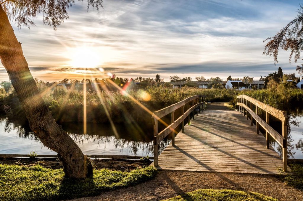 Event Retreat Camargue_15_cleaned (5)