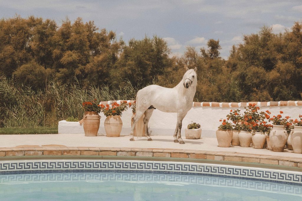 Event Retreat Camargue_3_cleaned