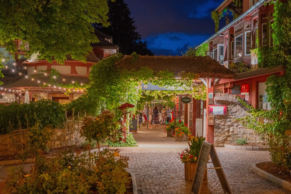 Event Retreat Haute-Savoie (3)_cleaned